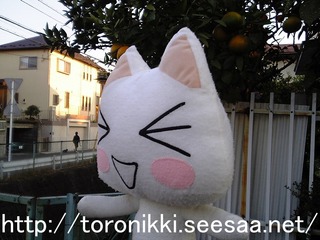 どこでもいっしょ 7−11−25−2.jpg