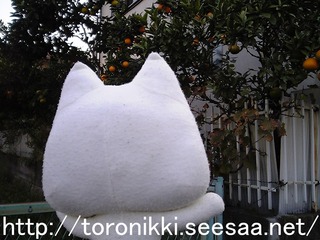 どこでもいっしょ 7−11−25−4.jpg