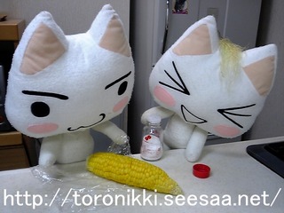 どこでもいっしょ 7−7−31 4.jpg