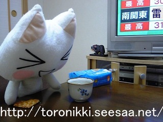 どこでもいっしょ 7−9−22 4.jpg