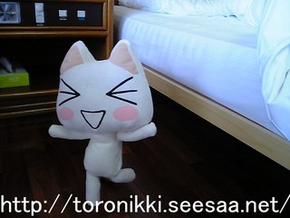 どこでもいっしょ 8−8−23 2.jpg