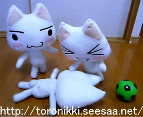 ねこみち2 4.jpg