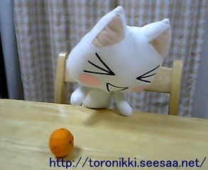 みかん 2.jpg