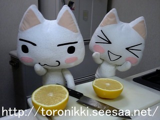 グレープフルーツ2.jpg