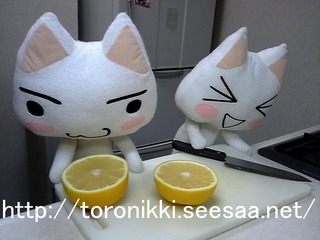 グレープフルーツ3.jpg