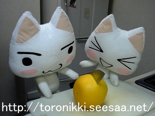 グレープフルーツ5−29.jpg