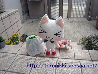 コラボ 1.jpg