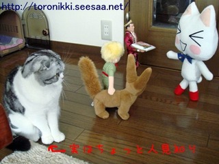 コラボ 3.jpg