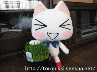 コラボ 6.jpg