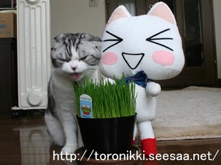 コラボ 9.jpg