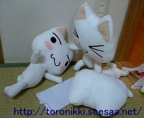 チケット3.jpg