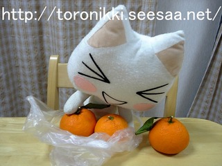 トロ 7−12−30−2.jpg
