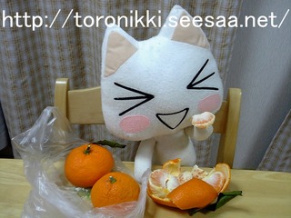 トロ 7−12−30−3.jpg