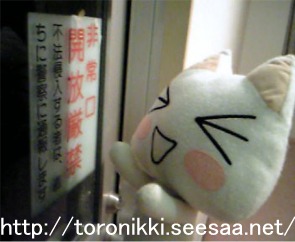 新島旅行記15.jpg