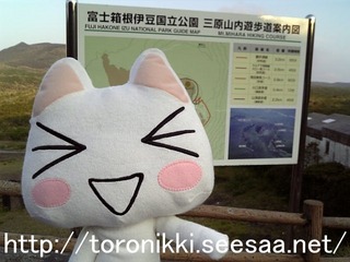 大島10.jpg