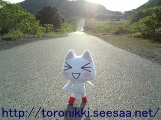 大島12.jpg