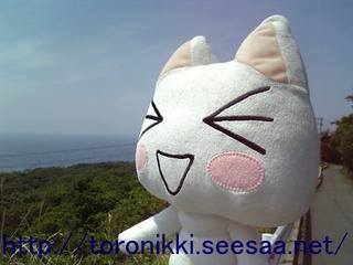 大島41.jpg