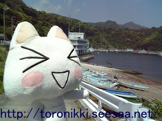 大島54.jpg