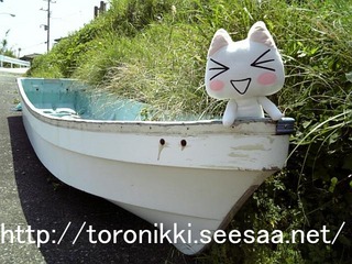 大島57.jpg