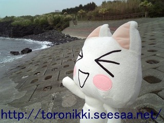 大島65.jpg