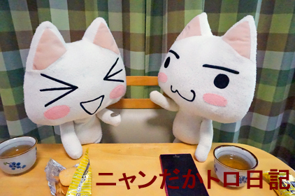 DSC01383.jpg