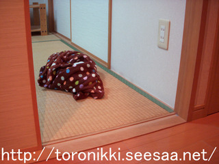 11−11−29−1.jpg