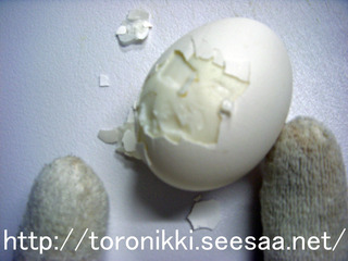 11−2−8−3.jpg