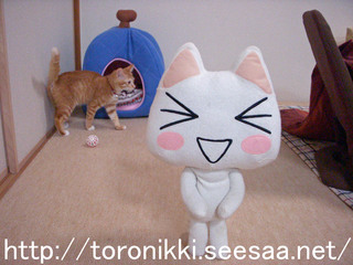 12−11−21−1.jpg
