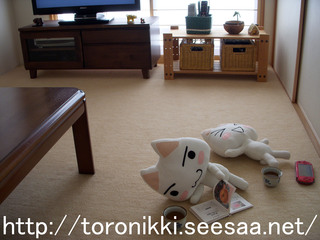 12−8−31−1.jpg