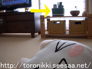12−8−31−3.jpg