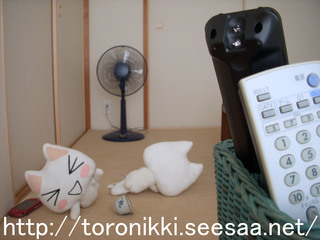 12−8−31−4.jpg
