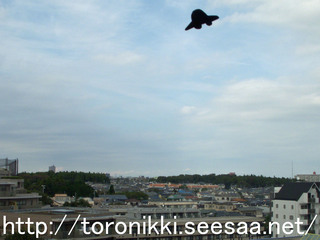 13−1−10−1.jpg