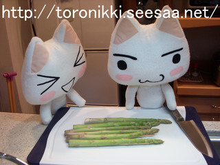 13−2−5−1.jpg