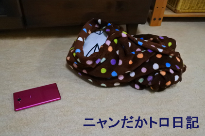 17−12−1−1.jpg