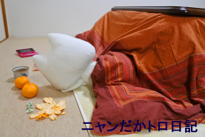 17−12−29−4.jpg