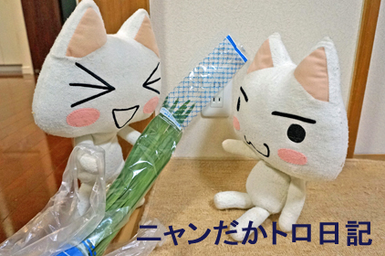 17−2−23−3.jpg