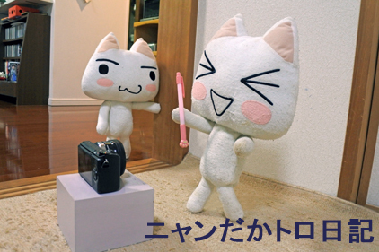 17−6−3−1.jpg