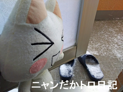 18−1−22−2.jpg