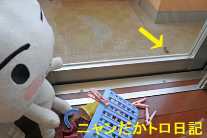 19−10−11−2.jpg
