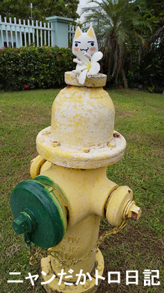 19−8−12−3-2.jpg