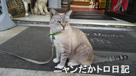 19−8−14−6.jpg