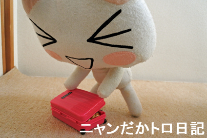 19−8−3−1.jpg