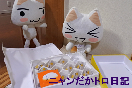 20−1−28−2.jpg