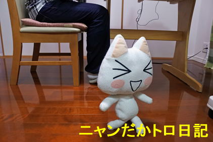 20−5−29−2.jpg