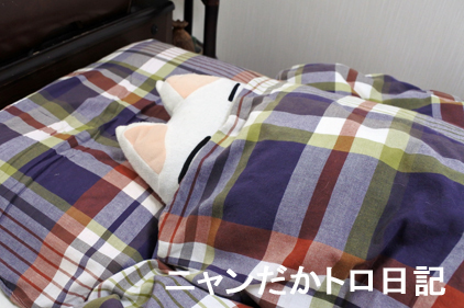 20−7−31−1.jpg