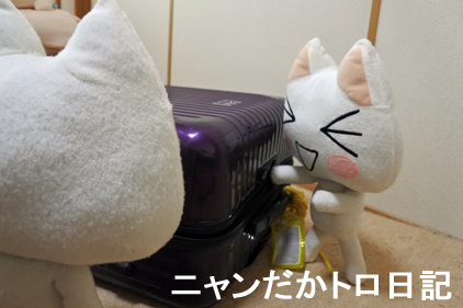 2019−8−10−4.jpg